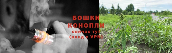 твердый Липки