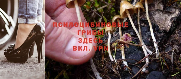 спиды Лиски