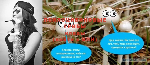твердый Липки