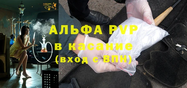 спиды Лиски