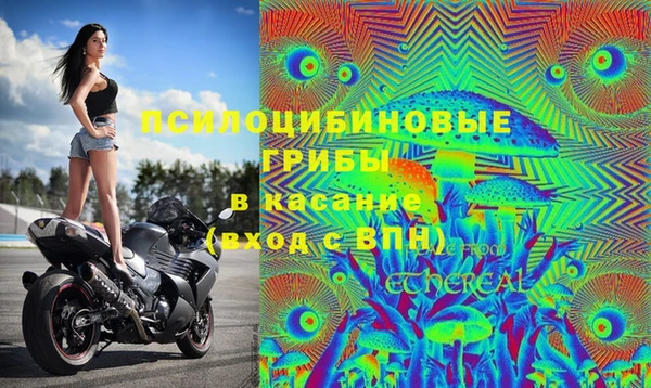 спиды Лиски