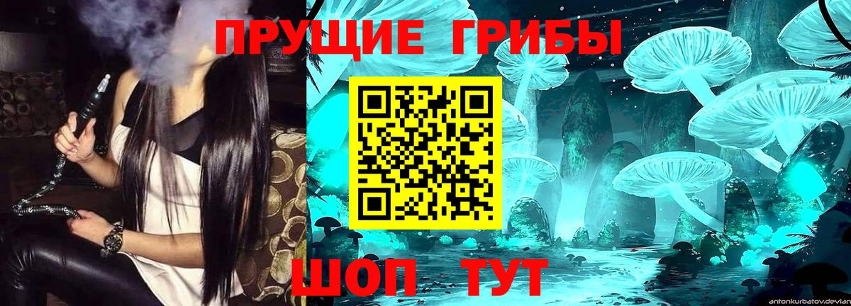 Галлюциногенные грибы прущие грибы Петровск