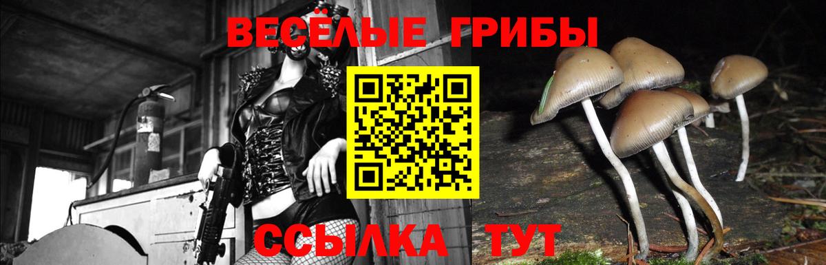 Псилоцибиновые грибы мицелий Петровск